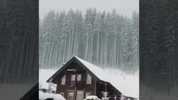 Якутская братва