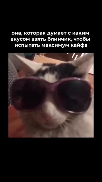 А какой твой любимый блинчик? 😉 смотреть онлайн