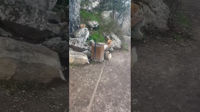 Крым 💖💖💖 Солнечная тропа смотреть онлайн