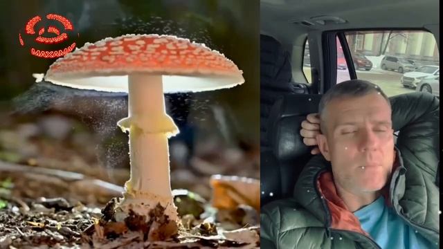 ЗАПУСК 🚀 ПРОГРАММЫ ИСЦЕЛЕНИЯ МАХ-ВЕЛИКИЙ АМАР-БЕЗСМЕРТНЫЙ ЧАСТЬ-3 смотреть онлайн