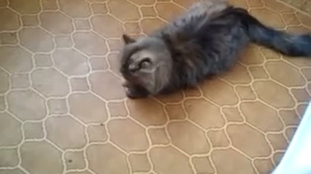 Ксюша и зайчик