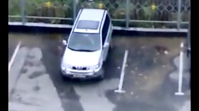 Таинственный красный пакет смотреть онлайн