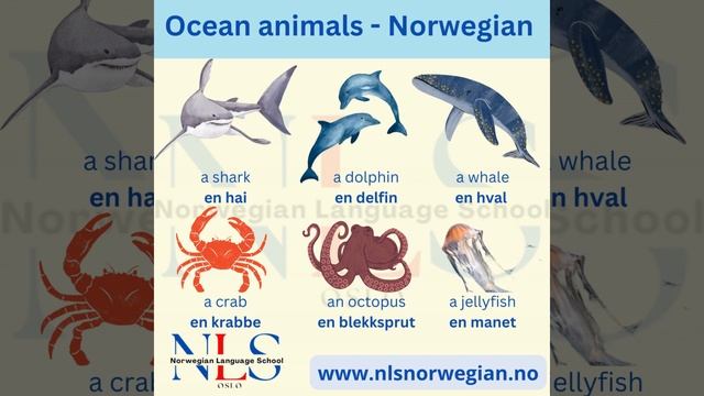 animals смотреть онлайн