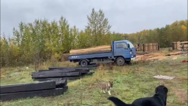 Саймон встречает очередную машину досок. смотреть онлайн