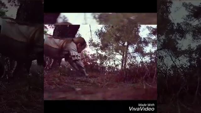 Ormanda kardeşim kayboldu.???????? смотреть онлайн