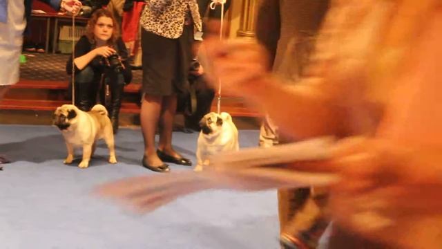 коб.беж.чемп.нкп.3 националка 14.04.2013 смотреть онлайн