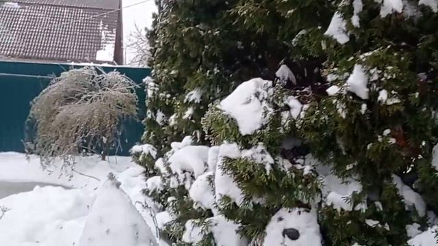 Хрустальный сад смотреть онлайн