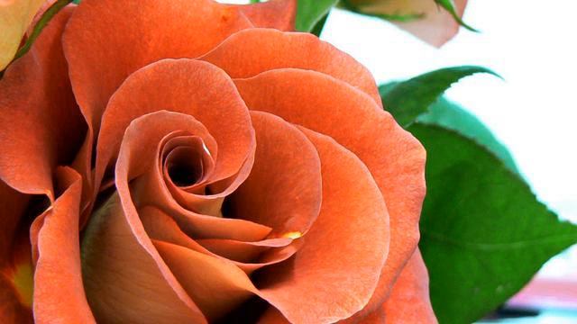 Новые русские песни про любовь онлайн смотреть онлайн