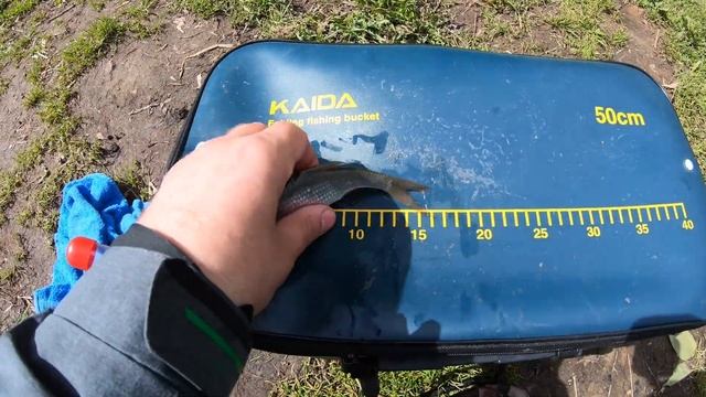 Закон о рыбалке правила рыболовства