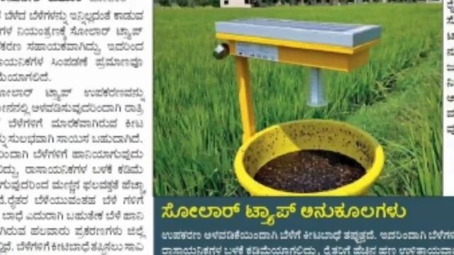 Pomegranate farming with MGK solar trap смотреть онлайн