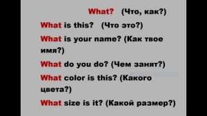 Вопросительные слова в английском с  «W». Для младших школьников.