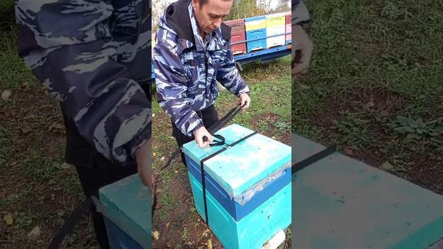 Magical Makeup Magic