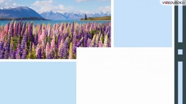 English speaking countries of the world