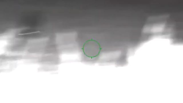 Galt 100 kg, Pulsar Digisight 455 LRF смотреть онлайн