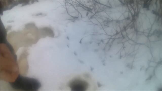 трофейный ратан в не приметном месте. ловля ратана смотреть онлайн