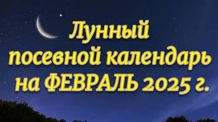 Лунный посевной календарь на ФЕВРАЛЬ 2025 г.
