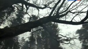 знахарь 1 серия