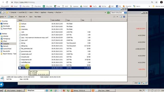 Инструкция к Wallet Core и cPay Core смотреть онлайн