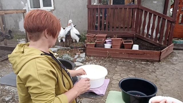 Сосиски в тесте по новому смотреть онлайн