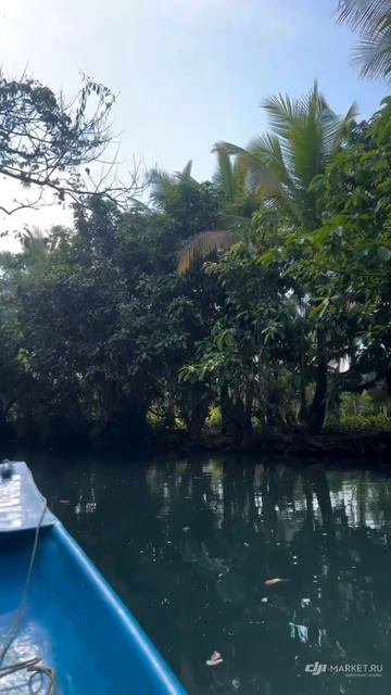 Путешествуете одни? смотреть онлайн