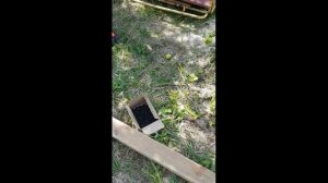 Постройка туалета на участке своими руками