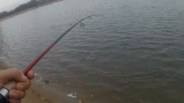 Эти не забываемые осенние моменты на рыбалке 2024. смотреть онлайн