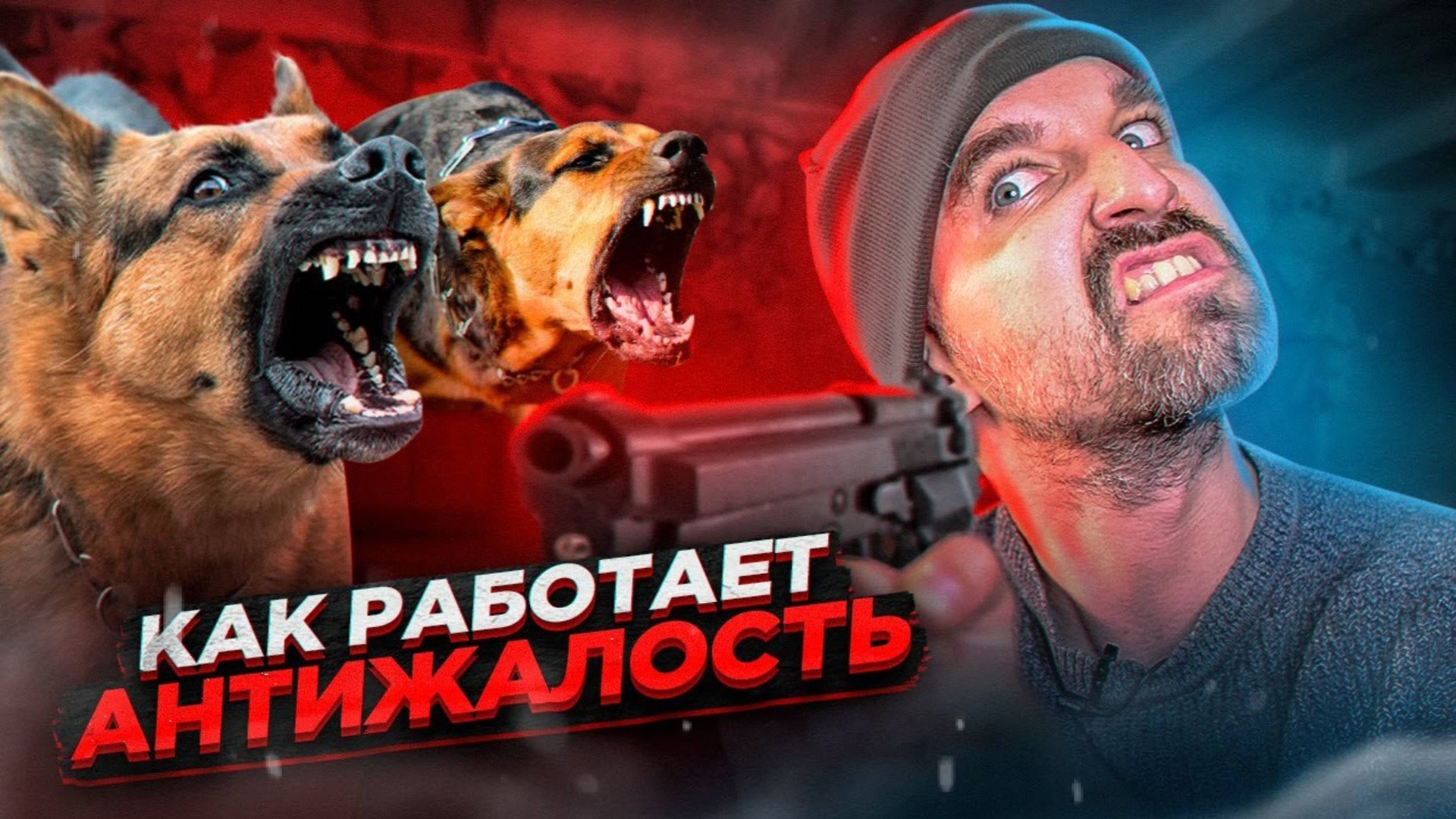 Угомонил злых собак специальной техникой АНТИЖАЛОСТЬ смотреть онлайн