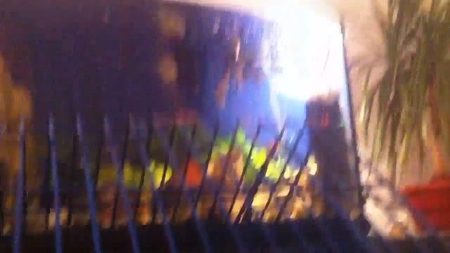 Просто нечиво сказать просто. Хомечок : ) смотреть онлайн