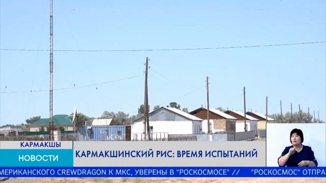 КАРМАКШИНСКИЙ РИС: ВРЕМЯ ИСПЫТАНИЙ смотреть онлайн