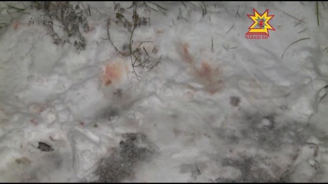 Республика 26 10 2015 на русском языке Вечерний выпуск смотреть онлайн