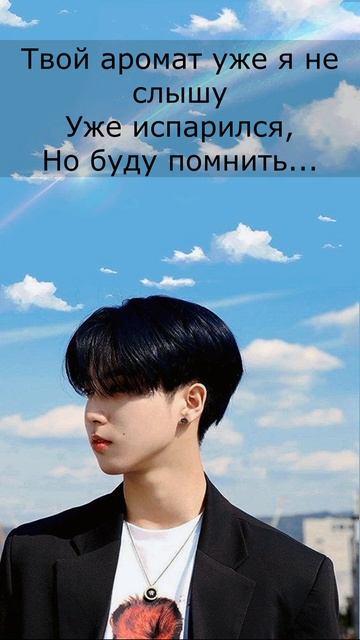 HAN (Stray Kids) - Wish You Back (рус караоке) (rus Karaoke) #shorts