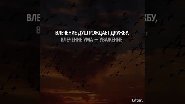 Высказывания великих людей смотреть онлайн