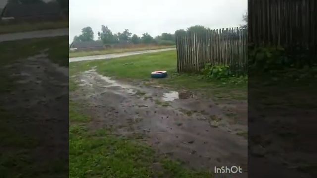 Обычный день в диревни у матушки смотреть онлайн