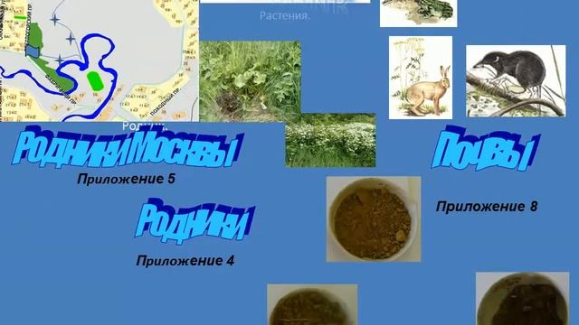 Разработка экотропы на территории Сходненского ковша. (ГБОУ СОШ № 827) смотреть онлайн