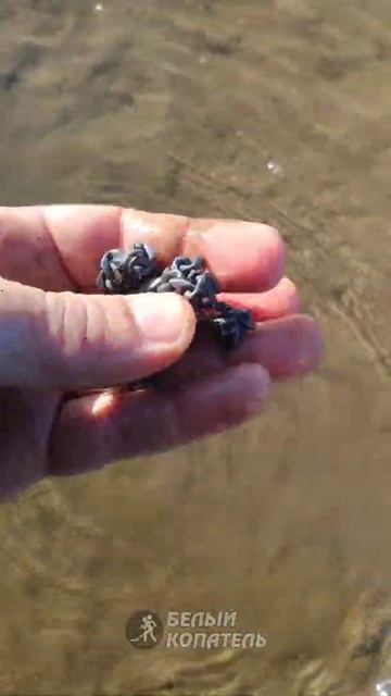 Огромная цепь, находка с Nokta Legend смотреть онлайн