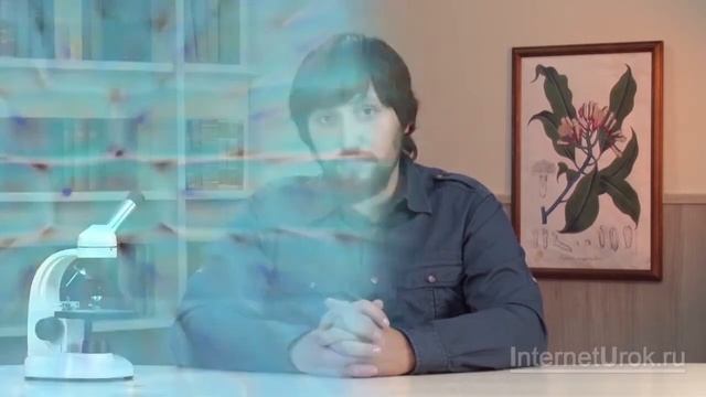 Биология — наука о живой природе смотреть онлайн