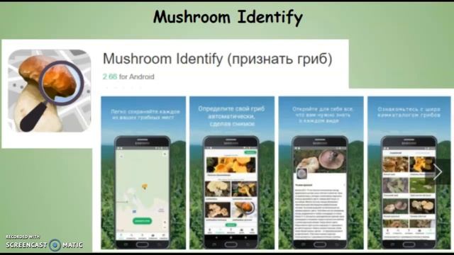 Знатоки природы смотреть онлайн