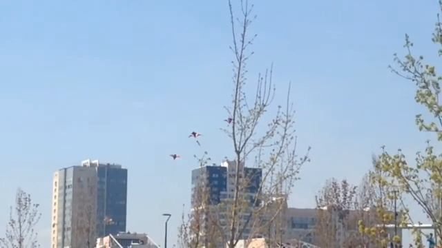 Фестиваль змеев. смотреть онлайн