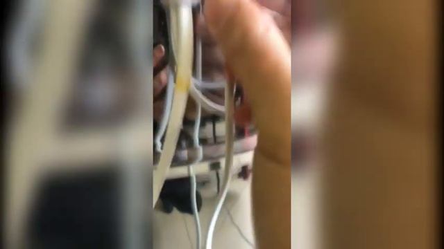 Ножная педаль (Старт/Стоп) для для управления устройствами приводом медогонки Pulseautomatics смотреть онлайн