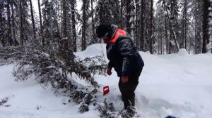 Легко ли спасти фотоловушку в январе #2