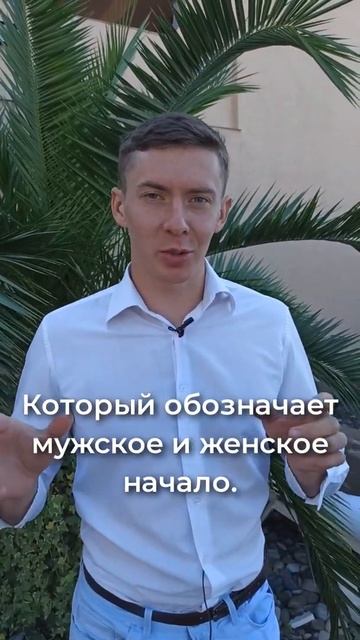 Что означает Инь-Янь? #мужскоеженское #иньянь #славянин #значениеслов #этимология