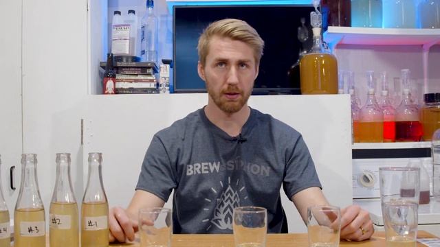Can You Taste Sorbate & Metabisulfite? (1 Year Later) смотреть онлайн