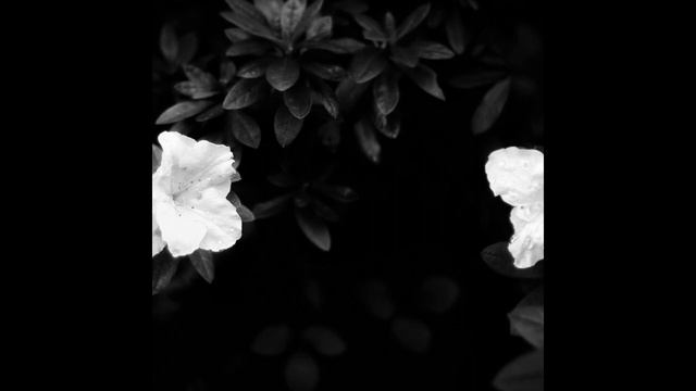 Ведьмина Поляна - Мечты смотреть онлайн