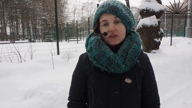 Виртуальные экскурсии по парку: Ширяево поле смотреть онлайн