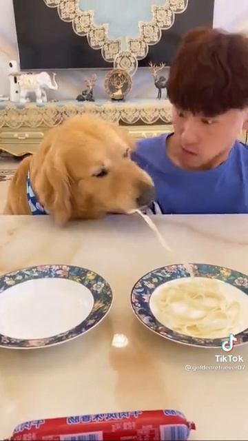 смешно-едят-макароны-собака-и-хозяин-популярное-видео смотреть онлайн