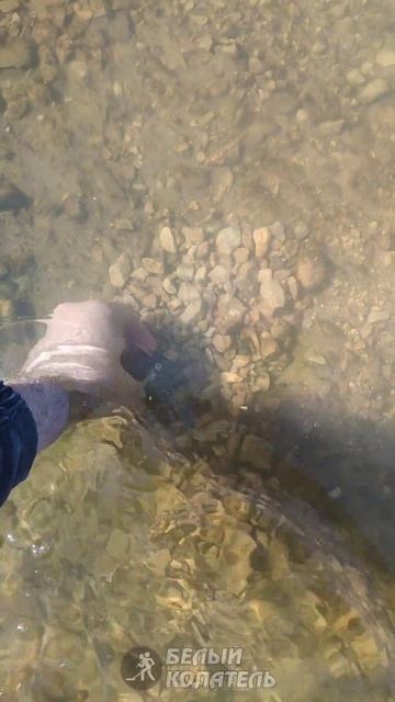 Глазами увидел находку на дне смотреть онлайн