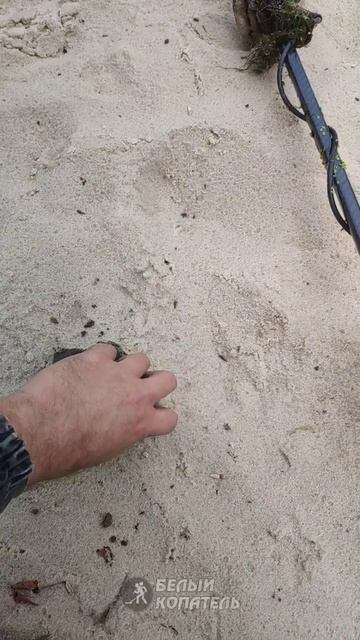 Находки на спортивной площадке смотреть онлайн