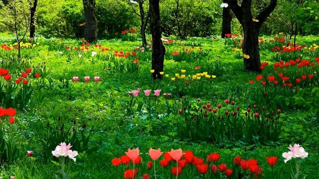 Позитивный настрой 