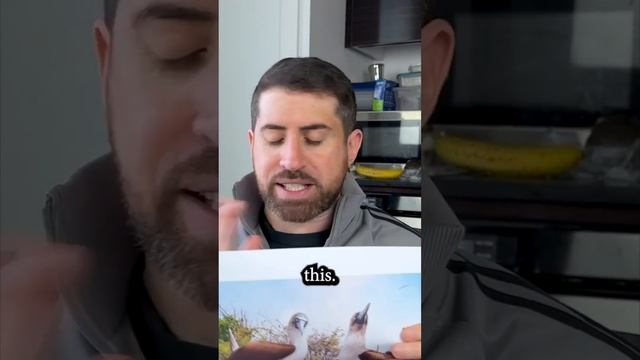 English, you is foul #comedy #languagelearning #englishisfun #learningenglish смотреть онлайн