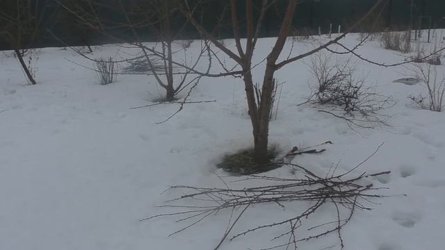 Первый день весны. смотреть онлайн